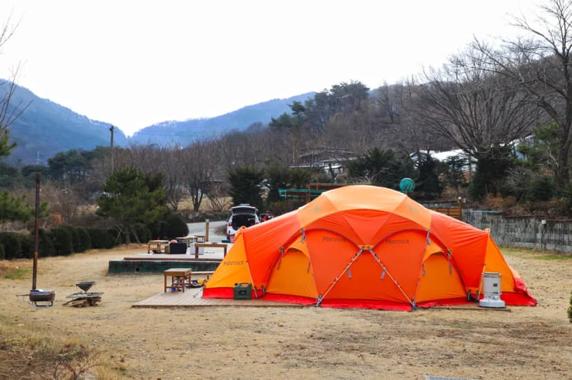 벳소캠프 사진 4