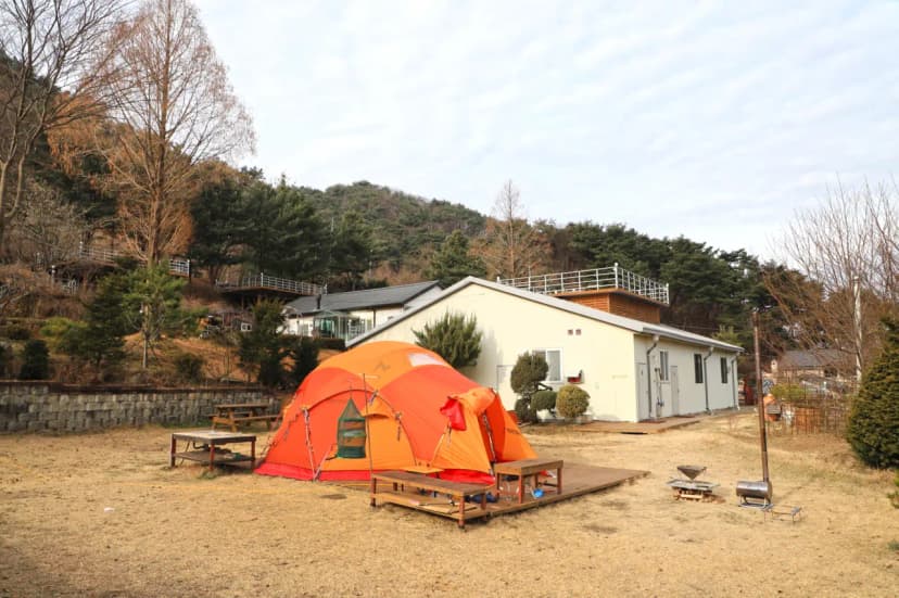 벳소캠프 사진 5