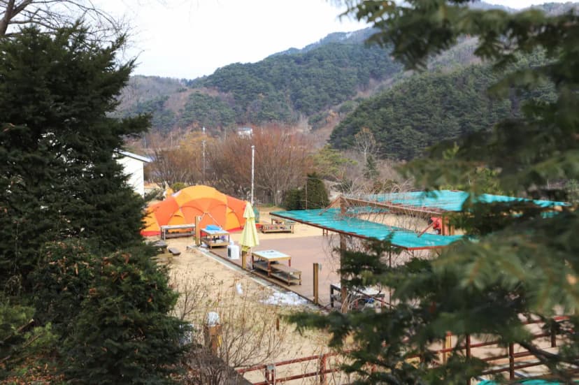 벳소캠프 사진 6