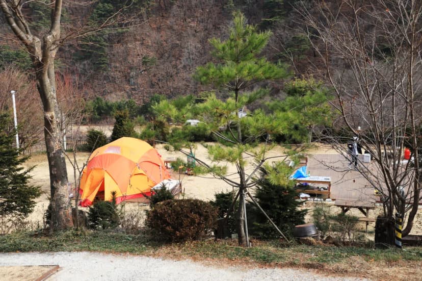 벳소캠프 사진 7