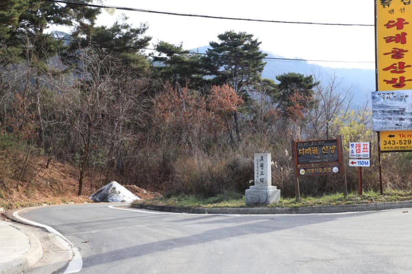 벳소캠프 사진 11