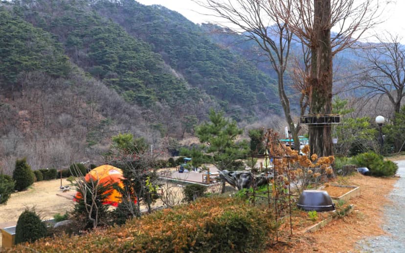 벳소캠프 사진 15