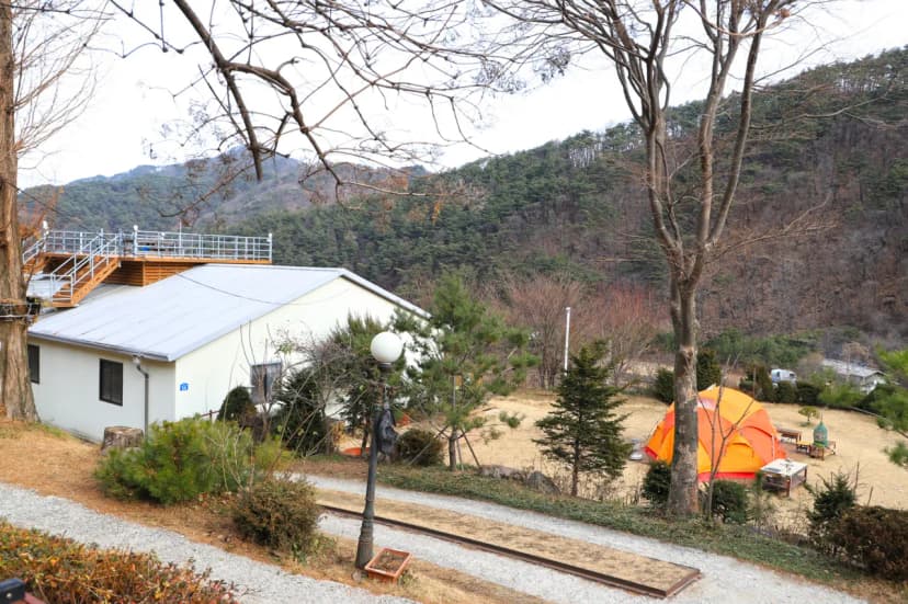 벳소캠프 사진 16