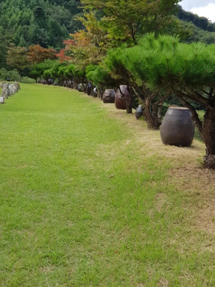 별밤 야영장 사진 5
