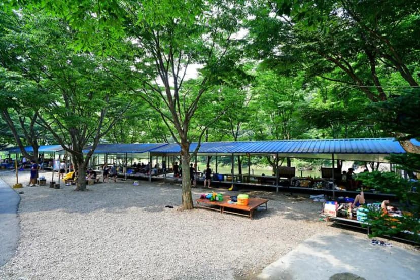 진안고원 숲 펜션&캠핑장 사진 3