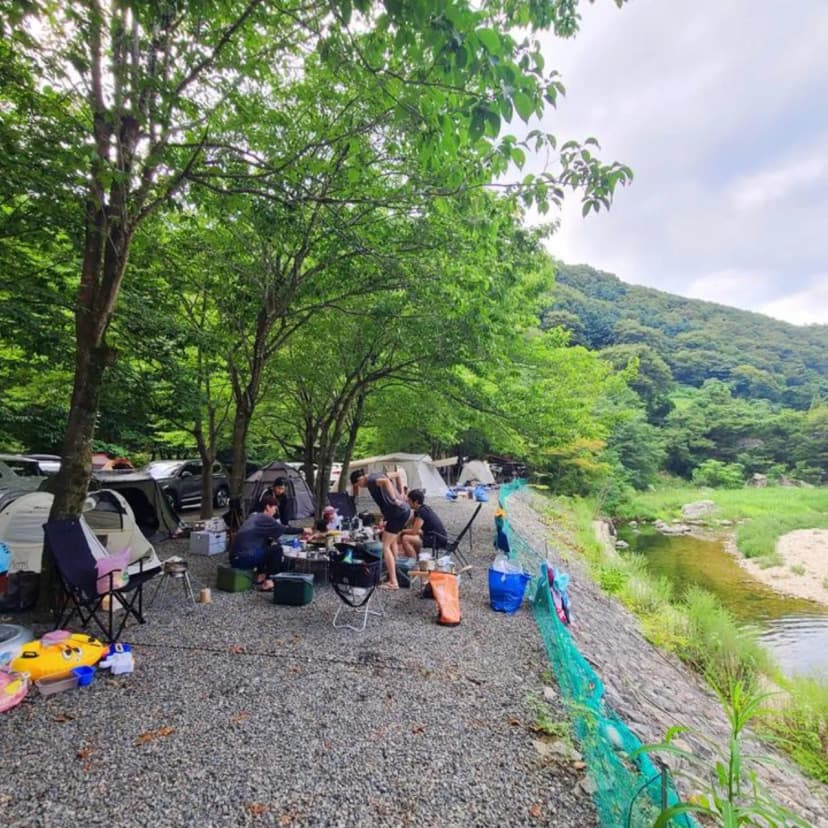 별삼킨별캠핑장 사진 2