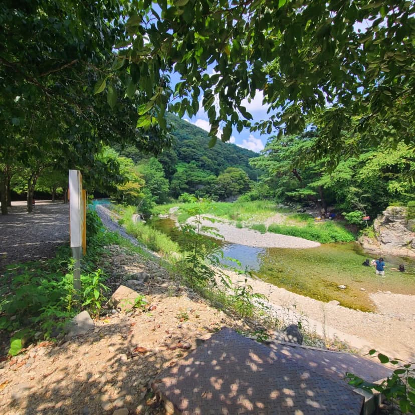 별삼킨별캠핑장 사진 3