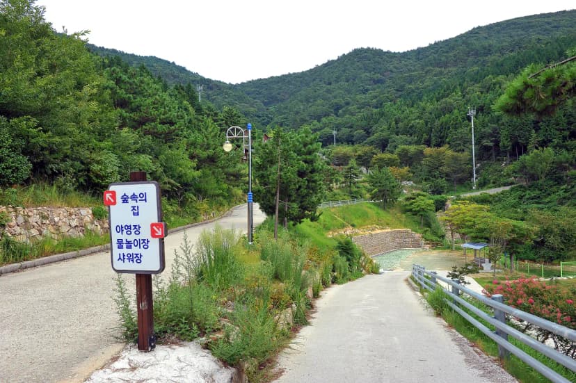봉황산자연휴양림 야영장 사진 14