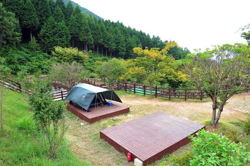 봉황산자연휴양림 야영장 사진 17