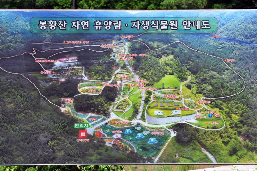 봉황산자연휴양림 야영장 사진 21