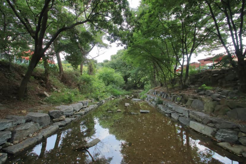 강당골캠핑파크 사진 5
