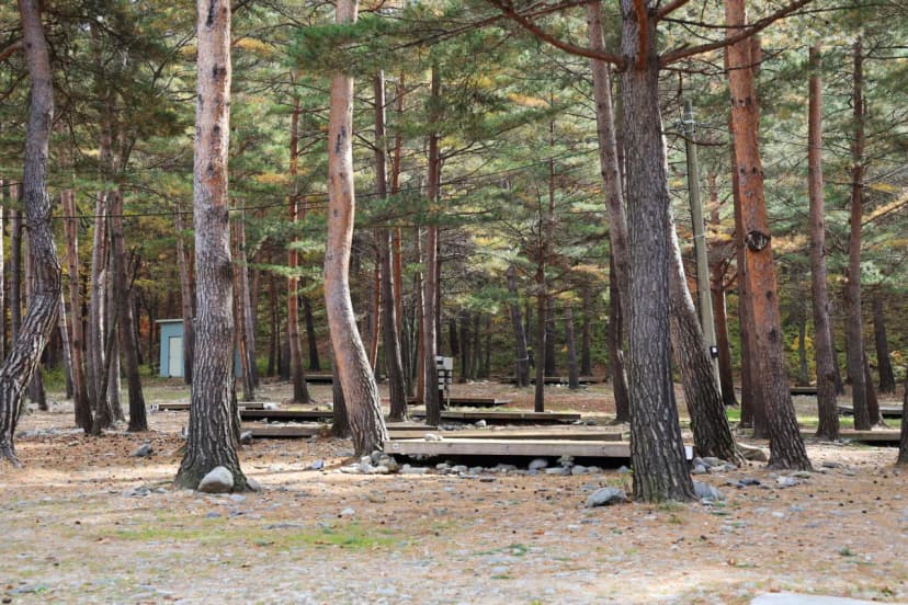 강릉 노추산 힐링캠프 사진 12