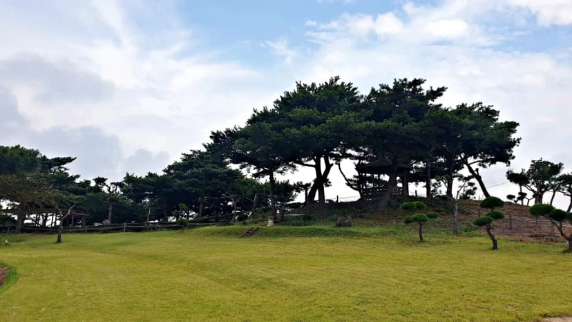 태안 안면도 비비애견동반캠핑장 사진 19
