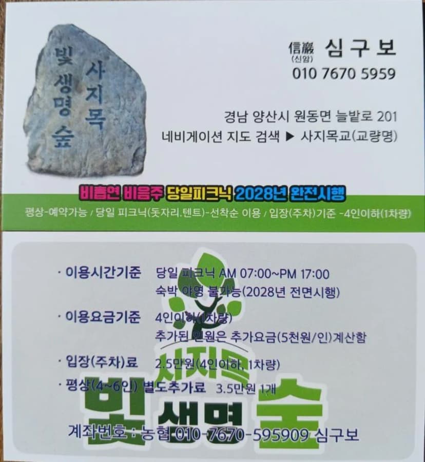 빛 생명 숲 사지목 사진 9