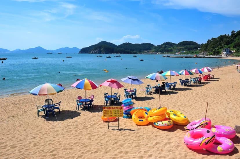 사촌해수욕장야영장 사진 19