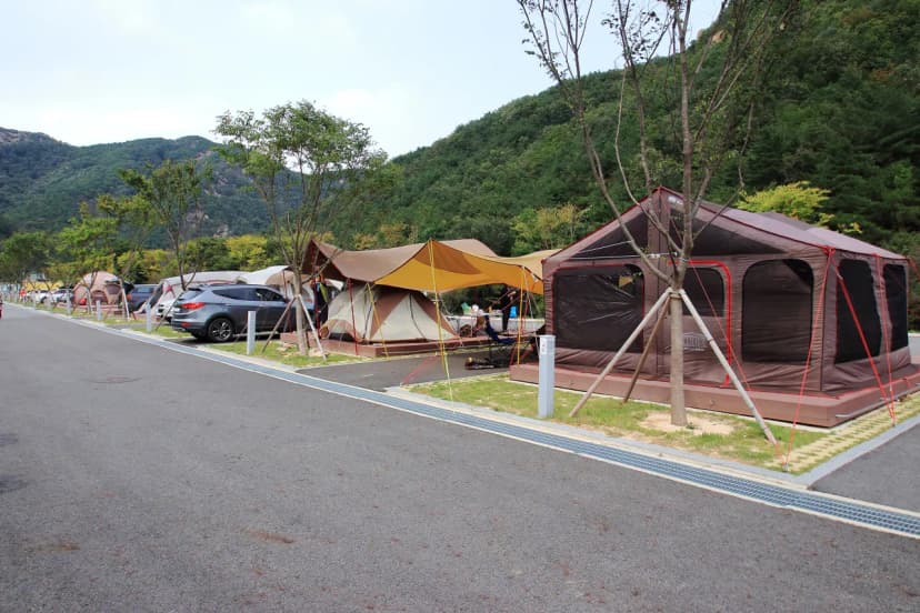 산꽃벚꽃마을 오토캠핑장 사진 19