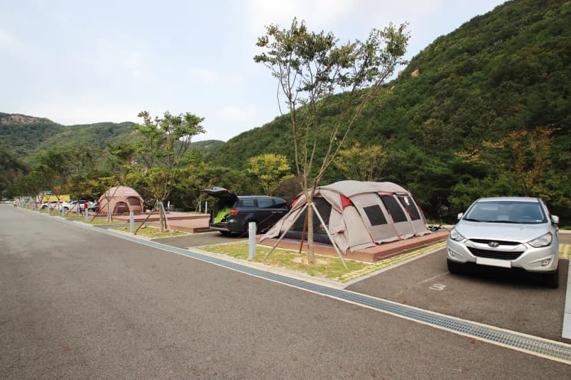 산꽃벚꽃마을 오토캠핑장 사진 20