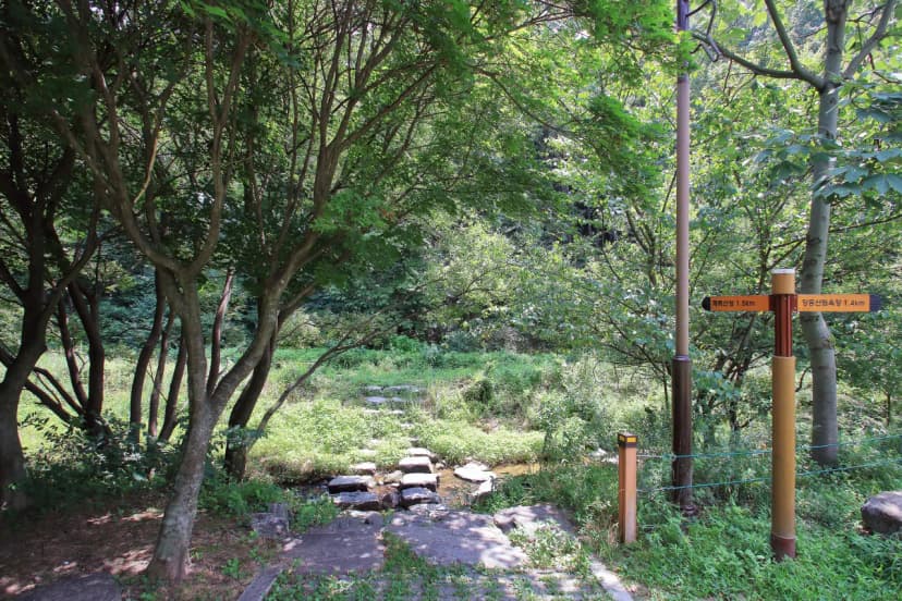 산디마을 생태공원 캠핑장 사진 4