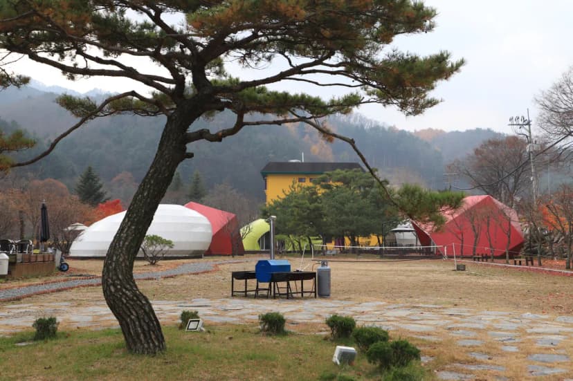 산사랑글램핑펜션 사진 3