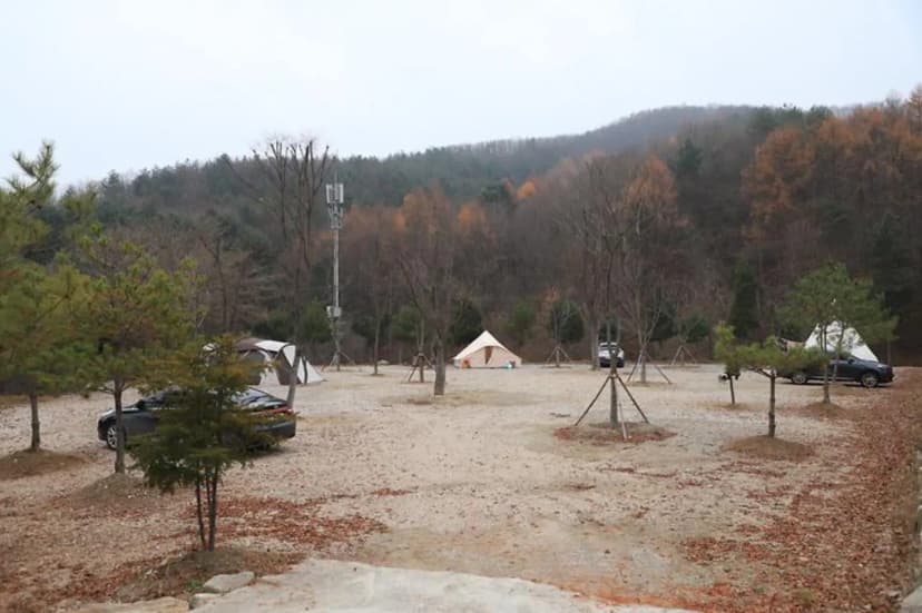 산울림관광농원 사진 2