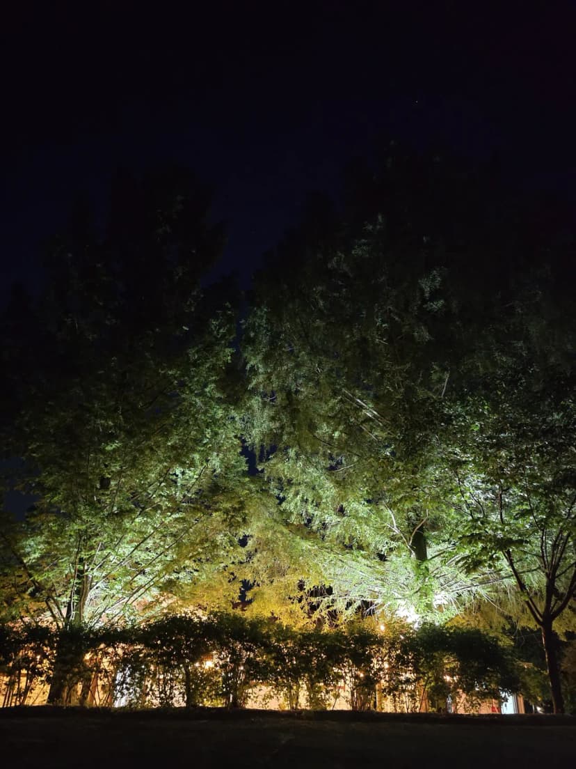 산울림관광농원 사진 3