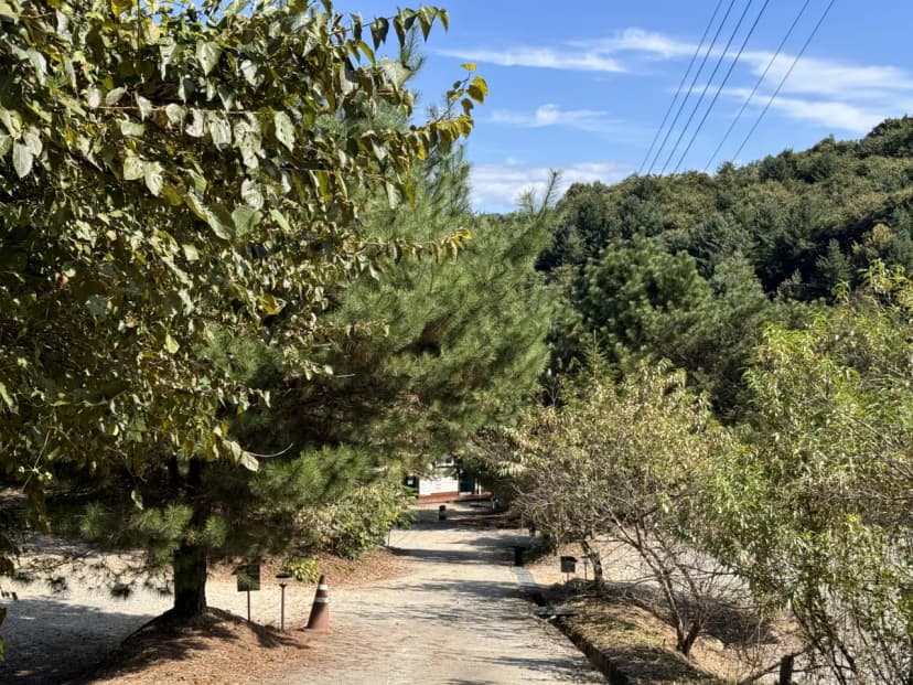 산울림관광농원 사진 4