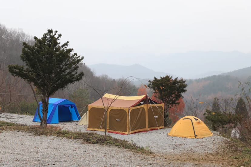 산울림관광농원 사진 8
