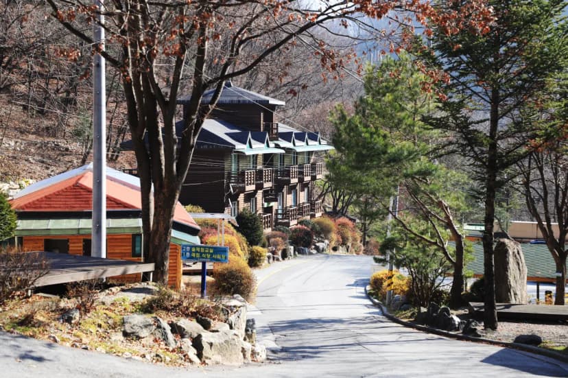 강원특별자치도 산림과학연구원 집다리골자연휴양림 사진 7