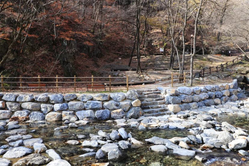 강원특별자치도 산림과학연구원 집다리골자연휴양림 사진 10