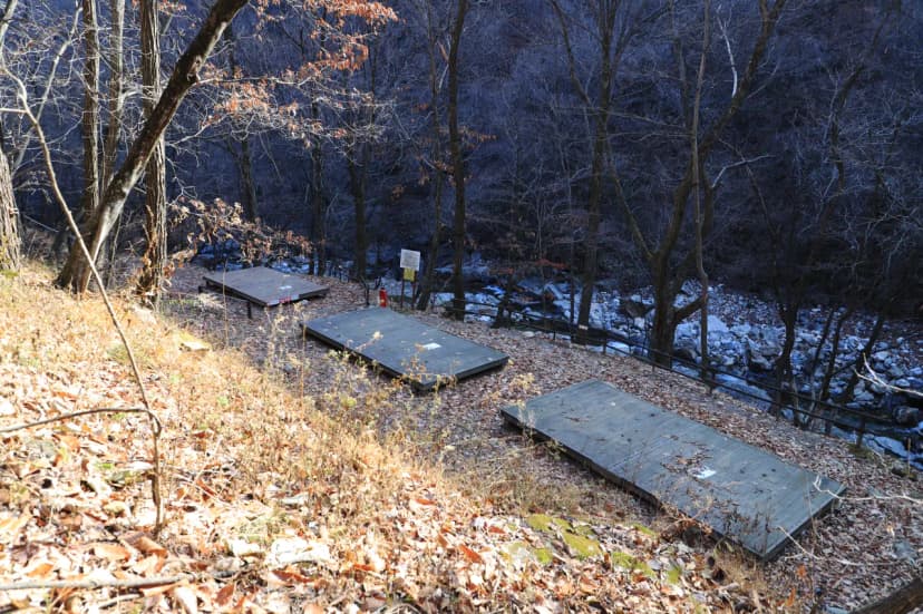 강원특별자치도 산림과학연구원 집다리골자연휴양림 사진 13