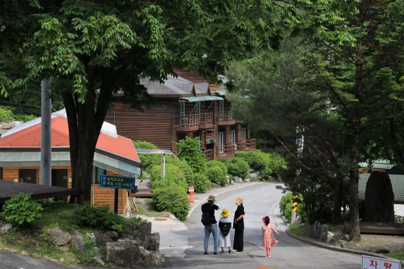 강원특별자치도 산림과학연구원 집다리골자연휴양림 사진 16