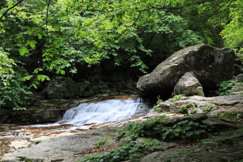 강원특별자치도 산림과학연구원 집다리골자연휴양림 사진 17