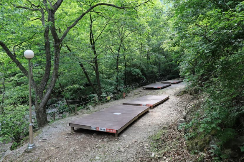 강원특별자치도 산림과학연구원 집다리골자연휴양림 사진 20