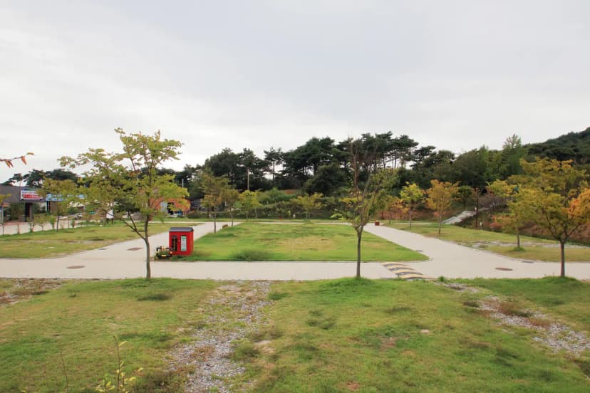 상황오토캠핑장 사진 4