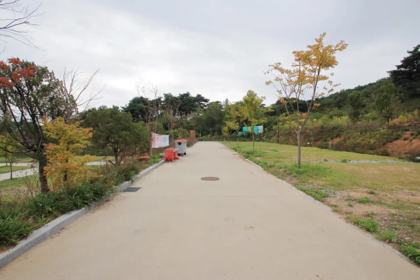 상황오토캠핑장 사진 5