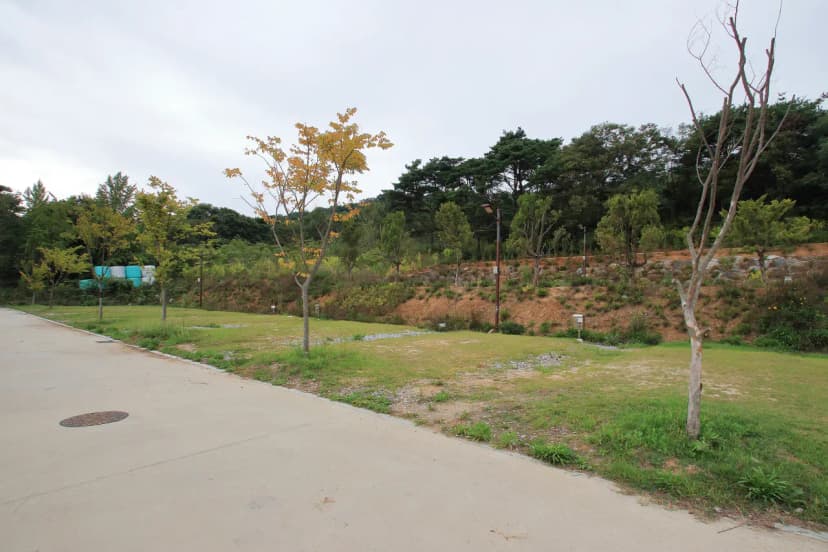 상황오토캠핑장 사진 17