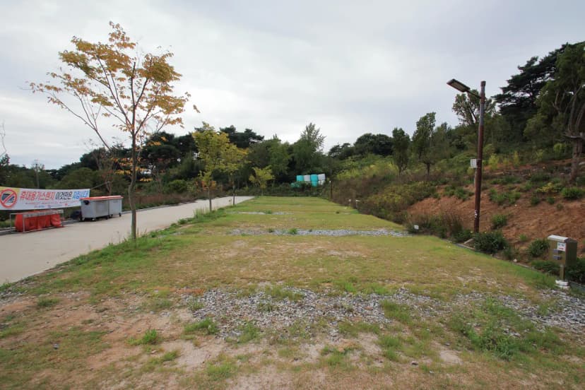 상황오토캠핑장 사진 18