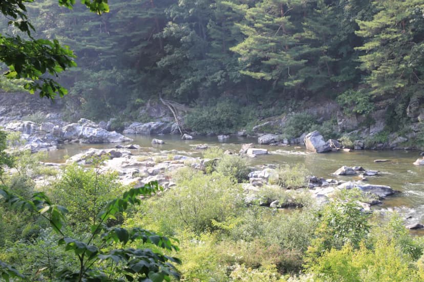 새막골 캠프 사진 4