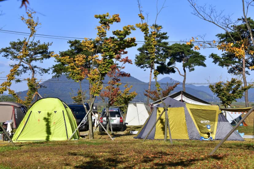 김해생림오토캠핑장 사진 19