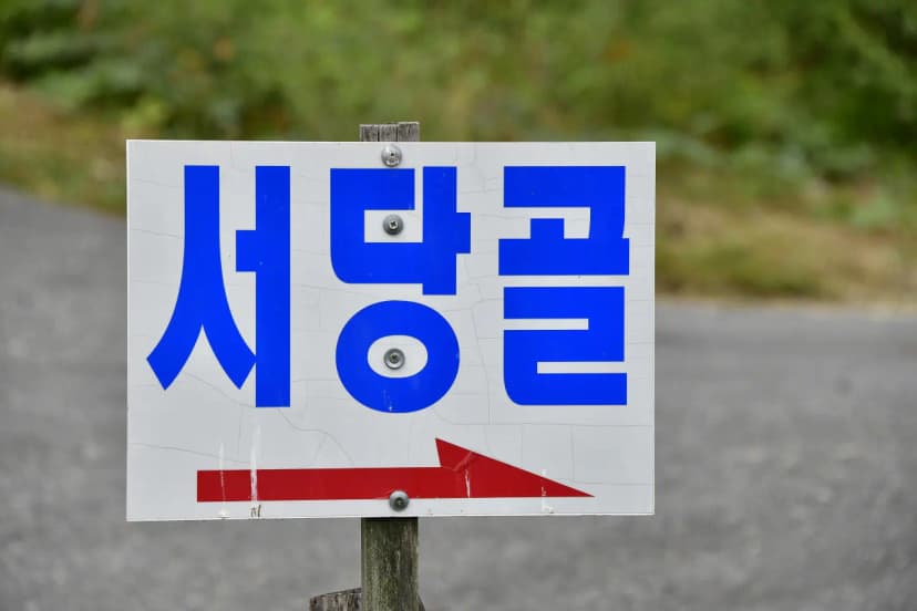 서당골캠핑장 사진 4
