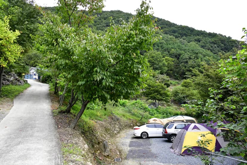서당골캠핑장 사진 6