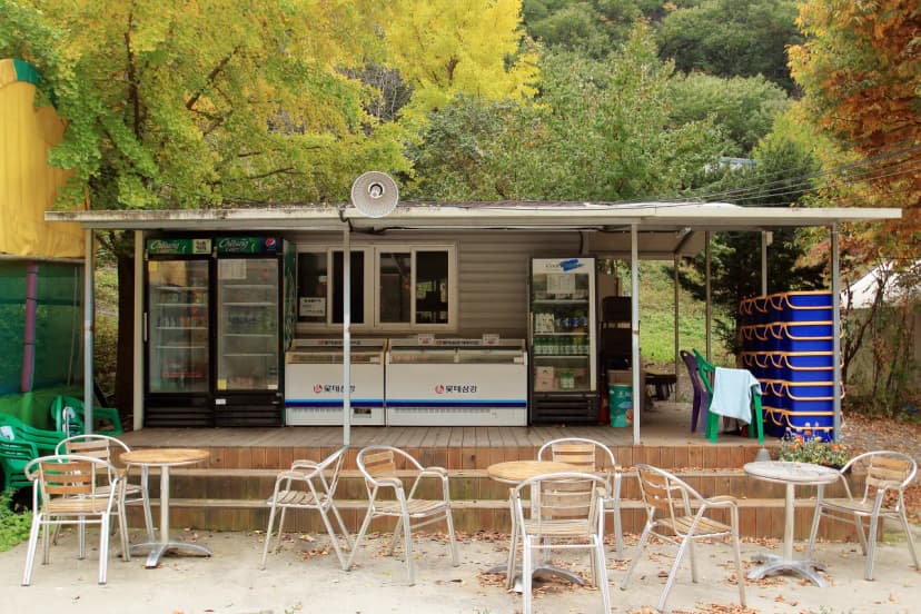 브루조아 사진 10
