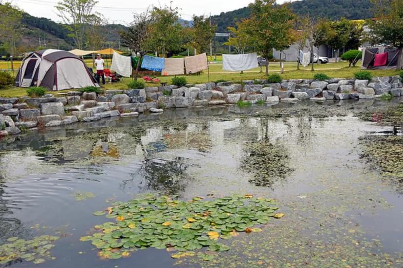 설뫼충효테마파크야영장 사진 3