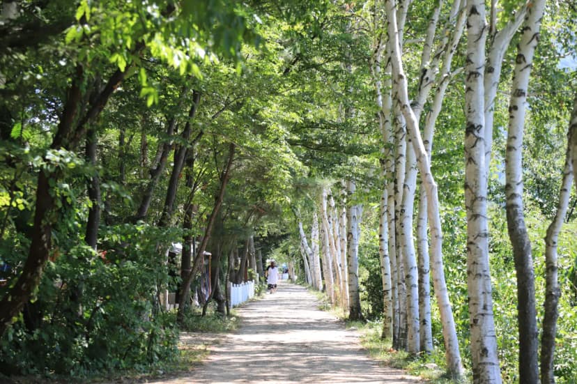 설하관광농원 사진 4