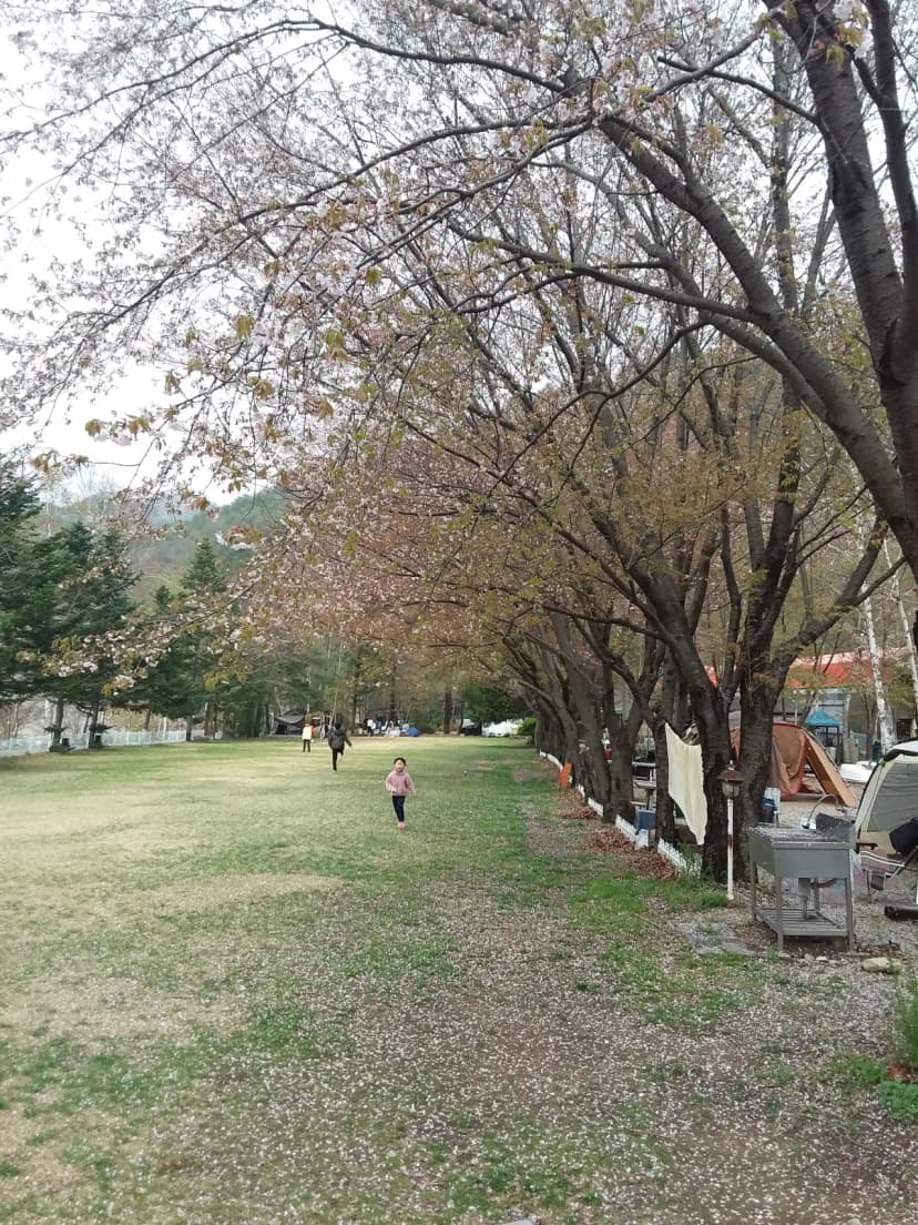 설하관광농원 사진 13