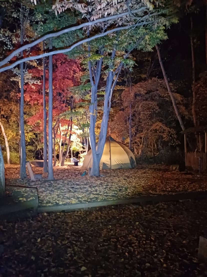 설하관광농원 사진 16
