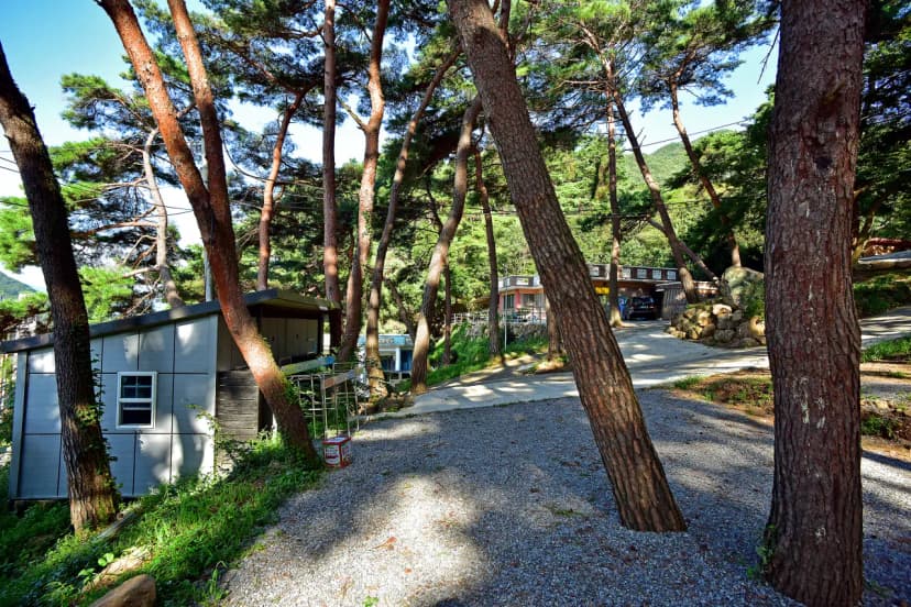 섬지야영장 사진 5