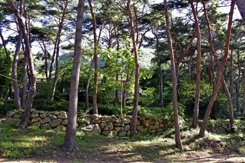 섬지야영장 사진 13