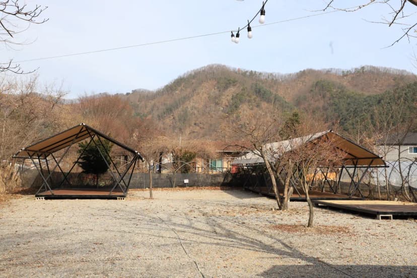강촌포도팬션&캠핑장 사진 4