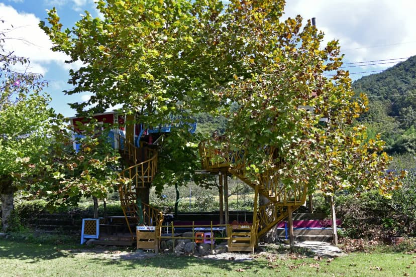 섬진강문화학교 캠핑장 사진 14